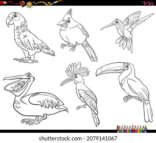 Ilustración de dibujos animados en blanco y negro de aves personajes animales conjunto página del libro de colorear