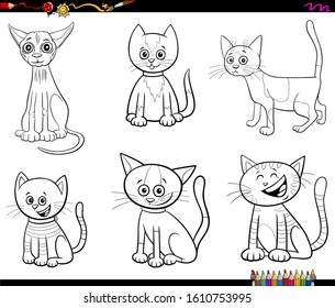 Black and White Cartoon Illustration of Cats and Kittens Pet Animal Characters Set Coloring Book Page