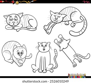 ilustração de desenhos animados em preto e branco de gatos e gatinhos personagens de animais cômicos definir colorir página