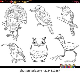 Schwarz-Weiß-Cartoon-Illustration von Comic-Vögeln Tierarten Zeichen setzen Farbseite