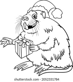 Black and white cartoon illustration of coypu or nutria animal character with present on Christmas time coloring book page