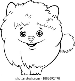 Black and white cartoon illustration of cute phaggy purebred pomeranian puppy or dog coloring book page