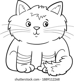 Black and white Cartoon illustration of cute fluffy kitten comic animal character coloring book page