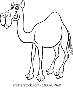 Camel Cartoon Black White Images Stock Photos Vectors Shutterstock