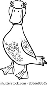 Black and white cartoon illustration of duck bird farm animal character coloring book page
