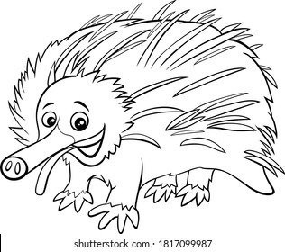 Black and White Cartoon Illustration of Echidna Wild Animal Character Coloring Book Page