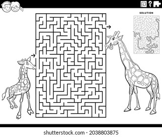 Black and white cartoon illustration of educational maze puzzle game for children with baby giraffe and mom coloring book page