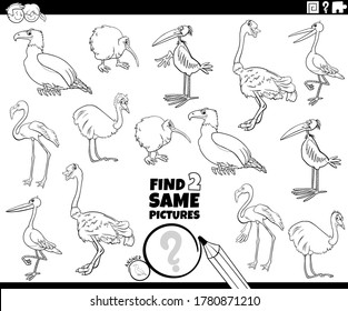 Black and White Cartoon Illustration of Find Two Same Pictures Educational Task for Children with Birds Animal Characters Coloring Book Page