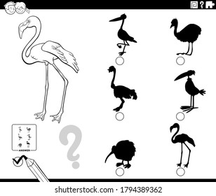 Black and White Cartoon Illustration of Finding the Right Shadow to the Picture Educational Game for Children with Flamingo Bird Animal Character Coloring Book Page