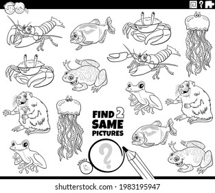 Black and white cartoon illustration of finding two same pictures educational game with comic animals characters coloring book page