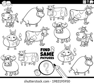 Black and white cartoon illustration of finding two same pictures educational game with cows and bulls cattle farm animals characters coloring book page