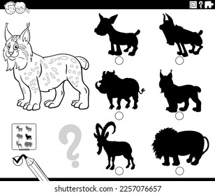 Black and white cartoon illustration of finding the right picture to the shadow educational game with lynx animal character coloring page