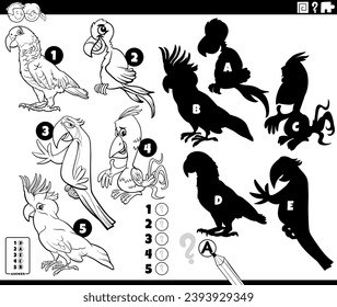 Black and white cartoon illustration of finding the right shadows to the pictures educational game with parrots birds animal characters coloring page