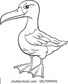 Black and White Cartoon Illustration of Funny Albatross Bird Animal Character Coloring Book Page