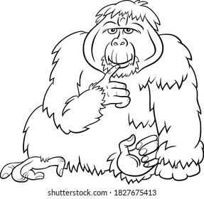 Orangutan Colouring Images Stock Photos Vectors Shutterstock