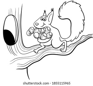 Black And White Cartoon Illustration Of Funny Squirrel Animal Character Carrying Acorns To The Hollow In The Tree Coloring Book Page