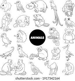 Black and white cartoon illustration of funny wild animal characters big set