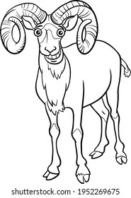 Urial Drawing ORIGINAL Urial with Utensil Horns Illustration Urial Painting Urial Art