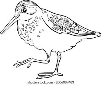 Black and white cartoon illustration of funny western sandpiper bird comic animal character coloring book page