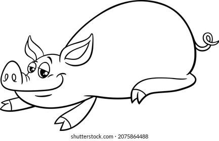 Black and white cartoon illustration of funny pig comic farm animal character coloring book page