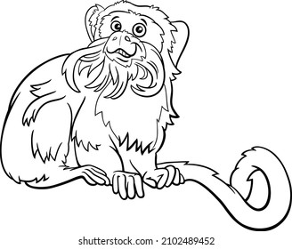 emperor tamarin monkey funny