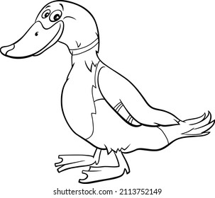 Black and white cartoon illustration of funny wild duck bird animal character coloring book page