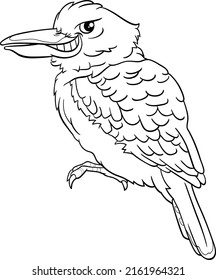 Ilustración de dibujos animados en blanco y negro de la divertida página de coloración del personaje de un ave kookaburra