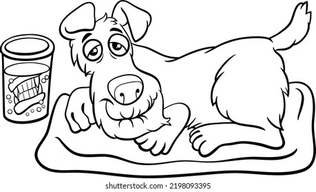 Black And White Cartoon Illustration Of Funny Senior Dog Animal Character With Dentures In A Glass Coloring Page