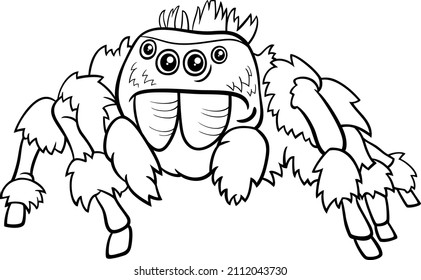 Black   white cartoon illustration jumping spider insect animal character coloring book page