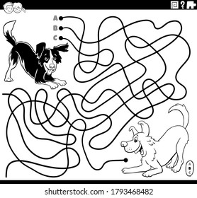 Black and White Cartoon Illustration of Lines Maze Puzzle Game with Playful Dogs or Puppies Characters Coloring Book Page