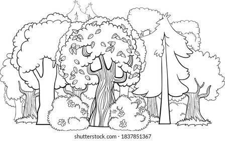 deciduous forest coloring pages