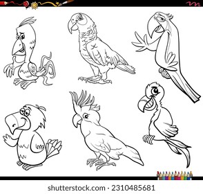 Black and white cartoon illustration of parrots birds animal characters set coloring page
