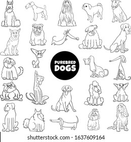 Black and White Cartoon Illustration of Purebred Dogs and Puppies Pet Animal Characters Large Set Coloring Book Page