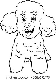 Black and white cartoon illustration of toy poodle purebred dog animal character coloring book page