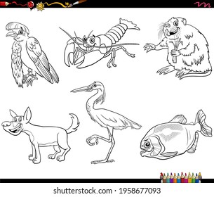 Black and white cartoon illustration of wild animals comic characters set coloring book page