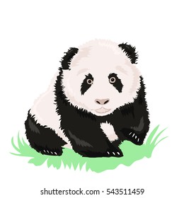 black and white cartoon panda at the white background