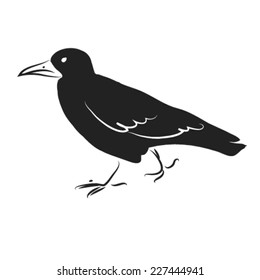 Black and white cartoon raven. Vector sketch coloring.