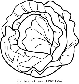 Black and White Cartoon Vector Illustration of Cabbage or Lettuce for Coloring Book