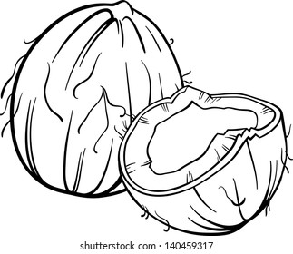 Black and White Cartoon Vector Illustration of Coconut or Cocoanut Food Object for Coloring Book