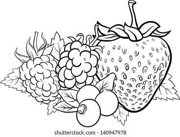 ブルーベリー ブラックベリー ラズベリー イチゴなどの4つのベリー果実の白黒の漫画のベクターイラスト カラーブック用のイストロベリーフードデザイン のベクター画像素材 ロイヤリティフリー
