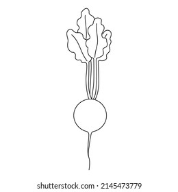 Black and white cartoon vector illustration of radish for coloring book. Ripe fresh vegetable for cooking, source of vitamins