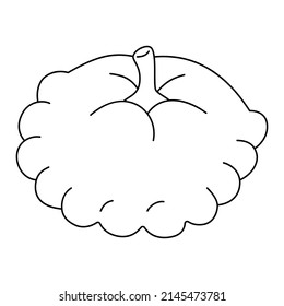 Black and white cartoon vector illustration of patisson for coloring book. Ripe vegetable for pickling, source of vitamins