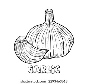 Black and White Cartoon Vector Illustration of Garlic Head Vegetable Food Object for Coloring pages