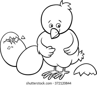Black and White Cartoon Vector Illustration of Little Chicken or Chick which was Hatched from an Easter Egg for Coloring Book