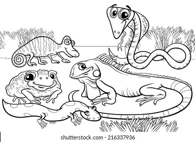 Black and White Cartoon Vector Illustrations of Funny Reptiles and Amphibians Animals Characters Group for Coloring Book