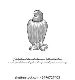 Black and white cashew illustration using engraving technique