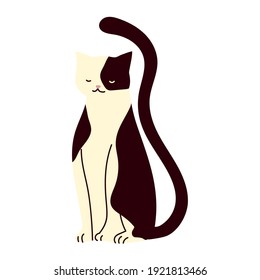black and white cat animal domestic cartoon vector illustration
