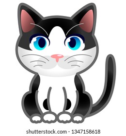 Black and white cat with blue eyes