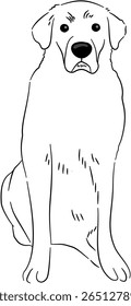 Black White Cat Dog Drawing Style