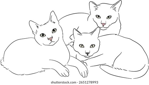 Black and White Cat Dog Drawing
